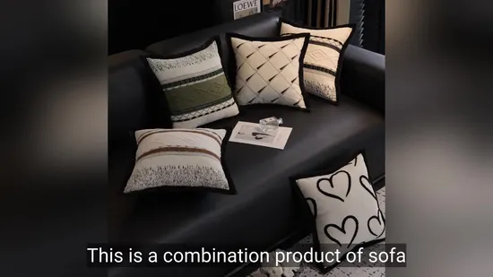 Combination of Modern Popular Style Sofa Pillow Cover and Pillow Core