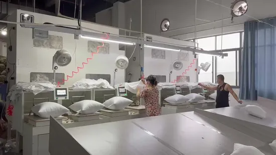 Exquisitely Arranged Warm Washed Goose Feather Pillow 